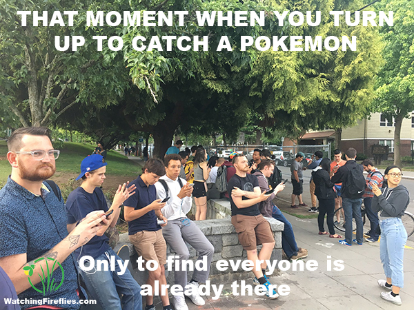 Pokemon Hunt Overcrowding