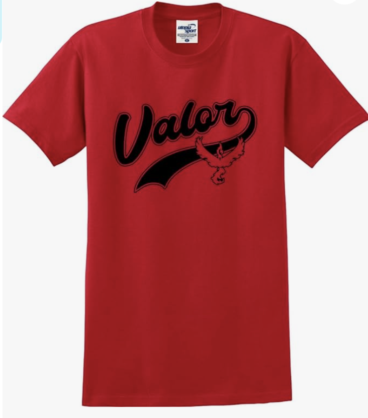 Sport Team Valor Distressed Print T-Shirt